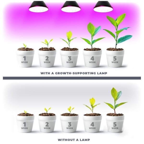 LED žiarovka PLANTY E27/7W/230V 1200K čierna pre rast rastlín