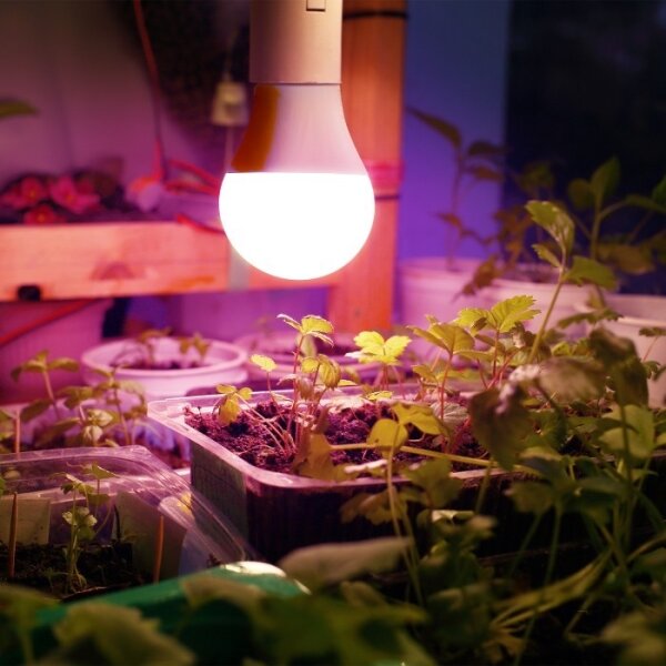 LED žiarovka PLANTY E27/11W/230V 1200K biela na rast rastlín