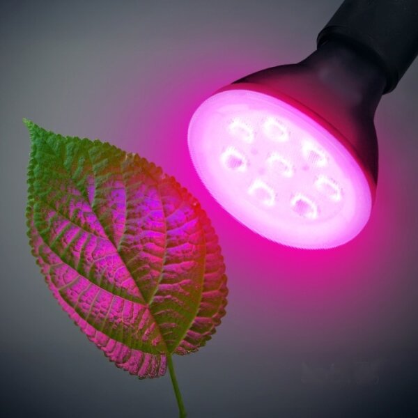 LED žiarovka PLANTY E27/7W/230V 1200K čierna pre rast rastlín