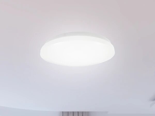 LED Kúpeľňové stropné svietidlo OPAL LED/12W/230V pr. 24,5 cm IP44 biela