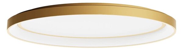 Redo 01-3807 - Stmievateľné LED stropné svietidlo NOBU LED/60W/230V zlaté