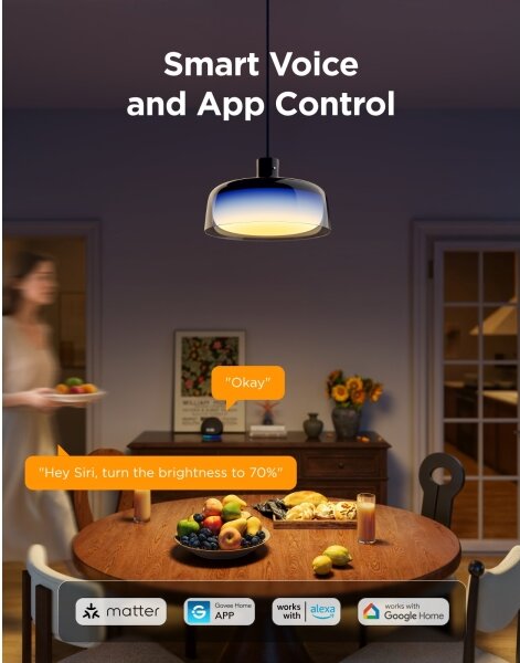 Govee - LED RGBICWW stlmiteľný závesný luster na lane LED/21W/230V Matter Wi-Fi