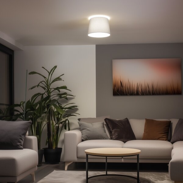 Brilagi - LED prisadené stropné svietidlo CERIA 1xE27/40W/230V priemer 30 cm sivá