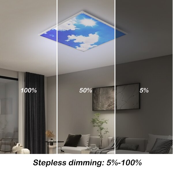 Brilagi-LED Stmievateľné svietidlo SLIMFRAME SKY LED/58W/230V 60x60 cm strieborná/modrá + diaľkové ovládanie