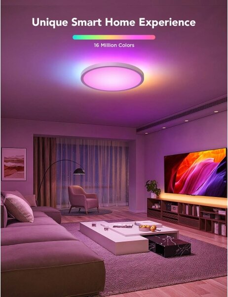 Govee - LED RGBICWW stmievateľné stropné svietidlo LED/29W/230V pr. 30 cm matné Wi-Fi