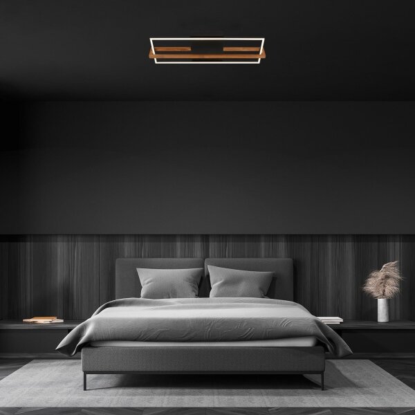Briloner 3777-015 - LED stropné svietidlo FRAME LED/21W/230V 3000K čierne