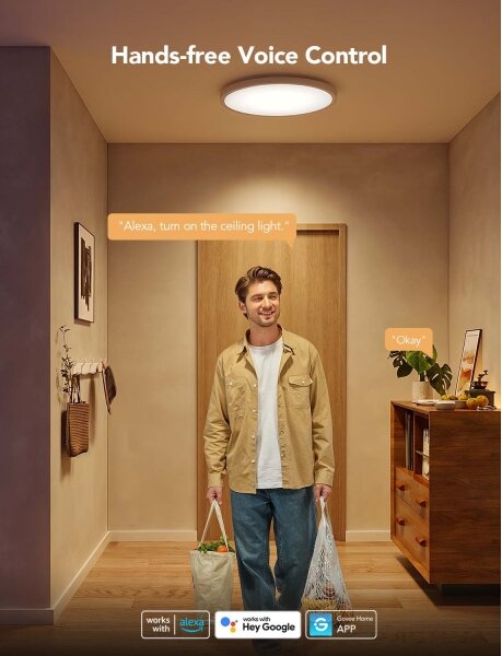 Govee - LED RGBICWW stmievateľné stropné svietidlo LED/29W/230V pr. 30 cm matné Wi-Fi