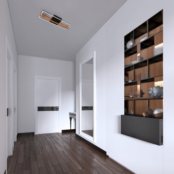 Briloner 3777-015 - LED stropné svietidlo FRAME LED/21W/230V 3000K čierne