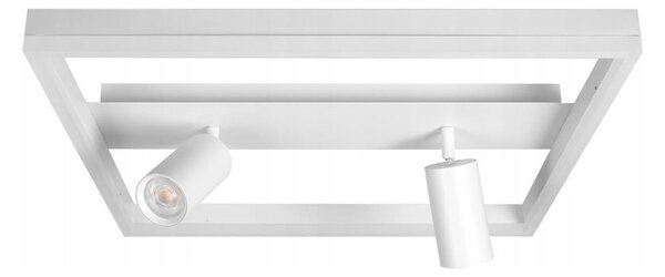 LED stropné svietidlo LED/38W/230V + 2xGU10/30W biela