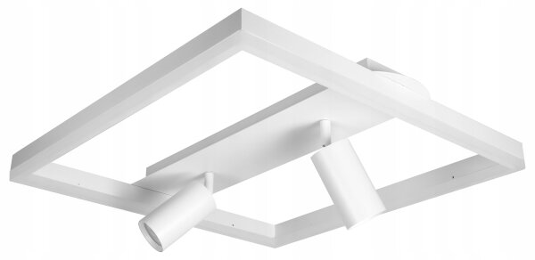 LED stropné svietidlo LED/38W/230V + 2xGU10/30W biela
