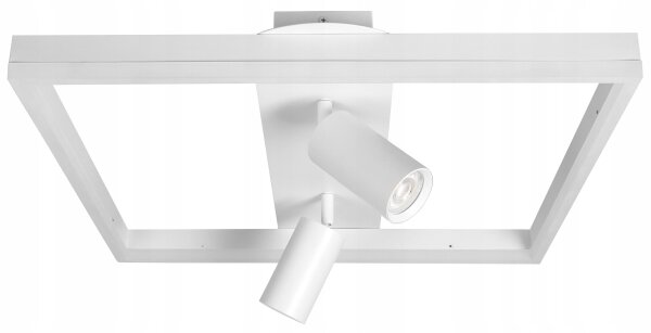 LED stropné svietidlo LED/38W/230V + 2xGU10/30W biela