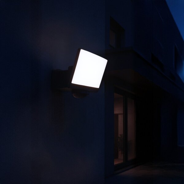 LED reflektor DAVOS s pohybovým a súmrakovým senzorom, LED/30W/230V, IP54, čierny