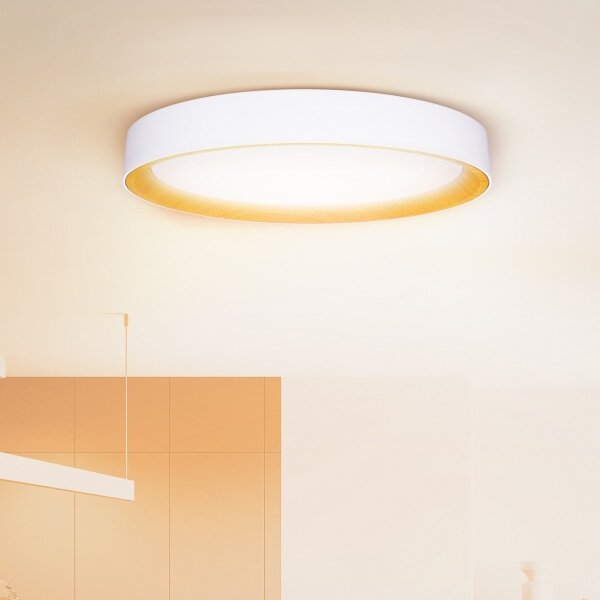 Brilagi - stmievateľné LED stropné svietidlo LARIOS, 72 W, 230 V, biela, pr. 59 cm + diaľkový ovládač