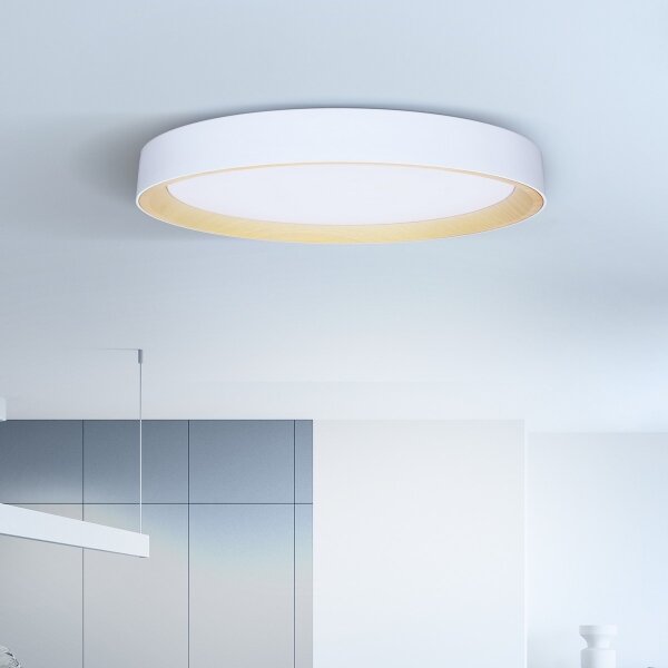 Brilagi - stmievateľné LED stropné svietidlo LARIOS, 72 W, 230 V, biela, pr. 59 cm + diaľkový ovládač