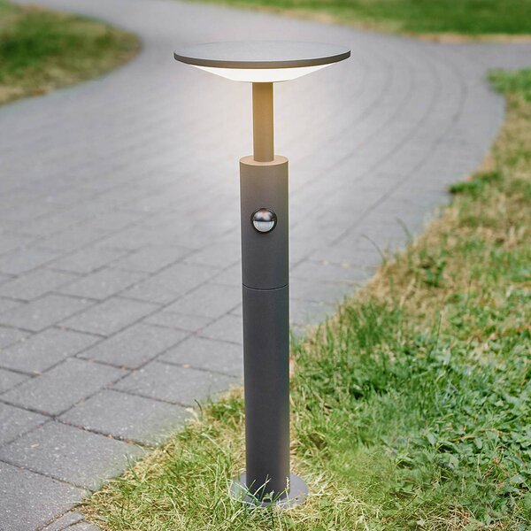 Lucande Fenia chodníkové LED svetlo, 60 cm, senzor, IP54, antracit, Čierna, Hliník, Moderný, Osvetlenie príjazdovej cesty