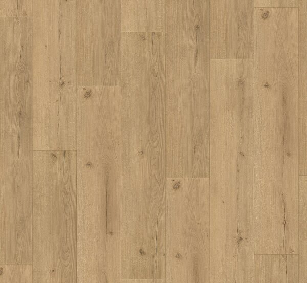 PARADOR Basic 5.3 SPC Dub infinity prírodné svieži štruktúra 1744607 - 2.18 m2