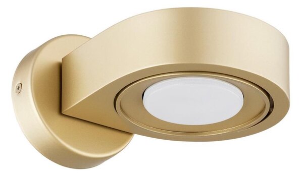 Argon 8899 - Nástenné svietidlo LOTUS 1xGX53/12W/230V zlaté