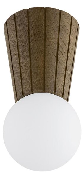 Argon 8974 - Kúpeľňové stropné svietidlo VOLANTE 1xG9/6W/230V IP44 pr. 12 cm hnedé