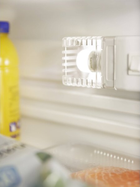 LED žiarovka do chladničky Philips E14/3,2W/230V 2700K