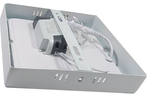 LED Stropné svietidlo LED/12W/230V 6000K