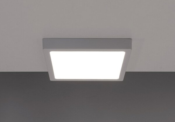 LED Stropné svietidlo GERRY LED/6W/230V 4000K