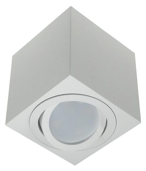 Bodové svietidlo FEBE 1xGU10/30W/230V biela