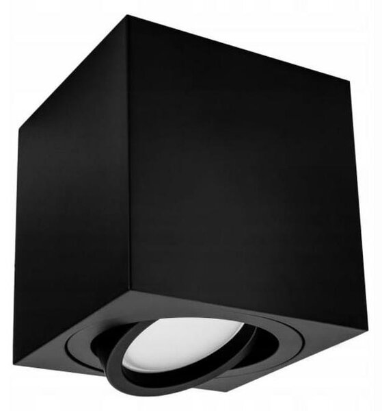 Bodové svietidlo FEBE 1xGU10/30W/230V čierna