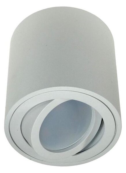 Bodové svietidlo FEBE 1xGU10/30W/230V biela