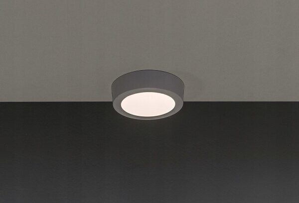 LED Stropné svietidlo GERRIT LED/6W/230V 3000K