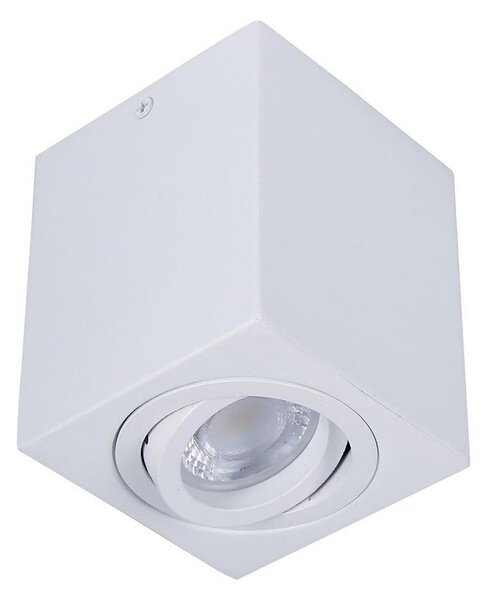 Bodové svietidlo SIN 1xGU10/50W/230V biela