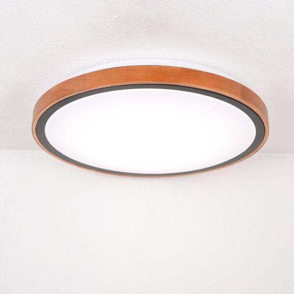 Globo 41764-24 - LED Stropné svietidlo BRUNO LED/24W/230V 437mm 3000/4500/6000K