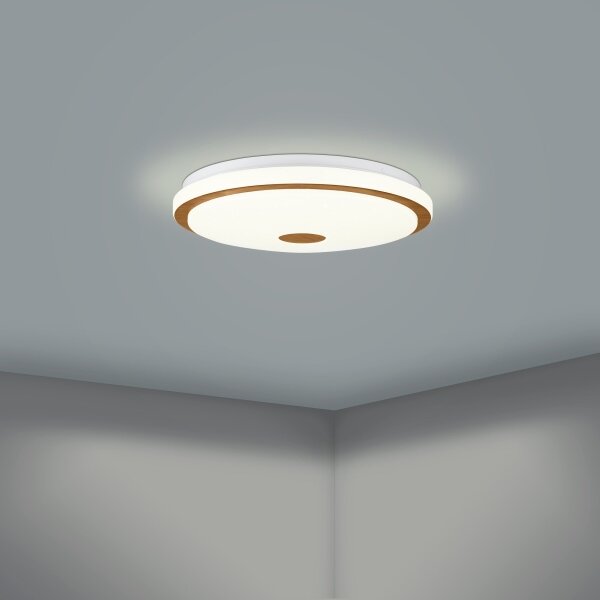 Eglo 900598 - LED Stmievateľné stropné svietidlo LANCIANO LED/24W/230V + DO