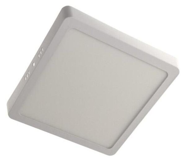LED Stropné svietidlo GERRY LED/12W/230V 3000K biela