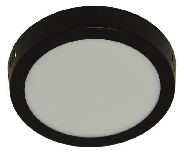 LED Stropné svietidlo GERRIT LED/12W/230V 4000K čierna