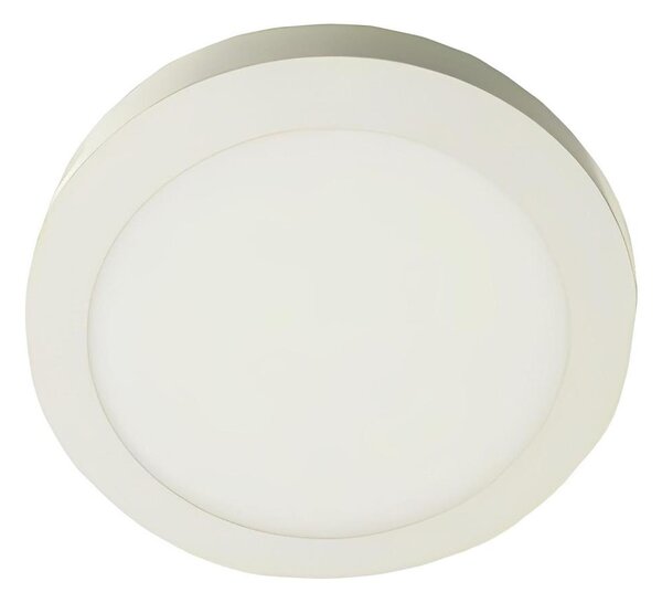 LED Stropné svietidlo GERRIT LED/12W/230V 3000K biela