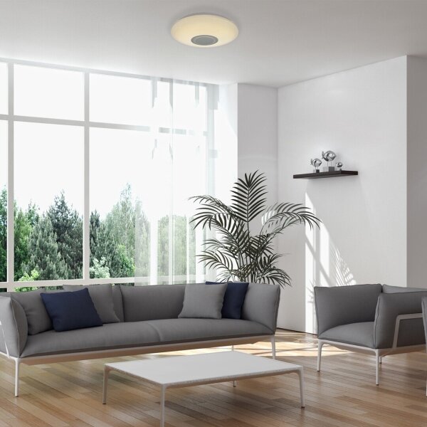 Rabalux 3509 - LED RGB Stmievateľné stropné svietidlo RODION LED/24W/230V + diaľkový ovládač