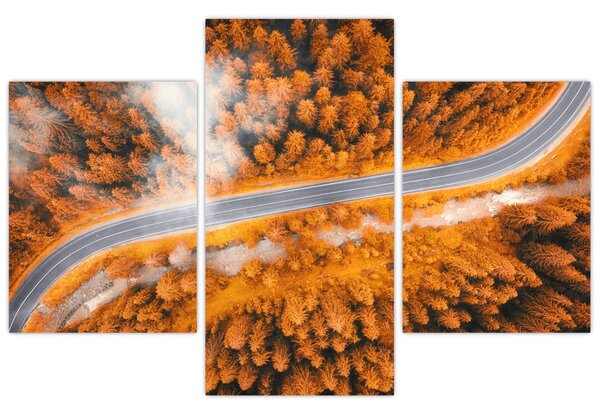 Obraz - Horská cesta (90x60 cm)