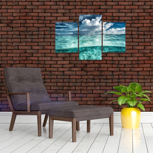 Obraz - Pohľad pod morskú hladinu (90x60 cm)