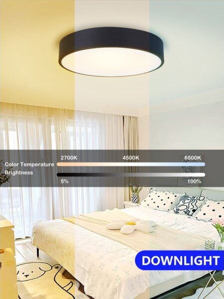 Immax NEO 07201L-LED Stmievateľné stropné svietidlo RONDATE 28W/230V čierna Tuya+DO