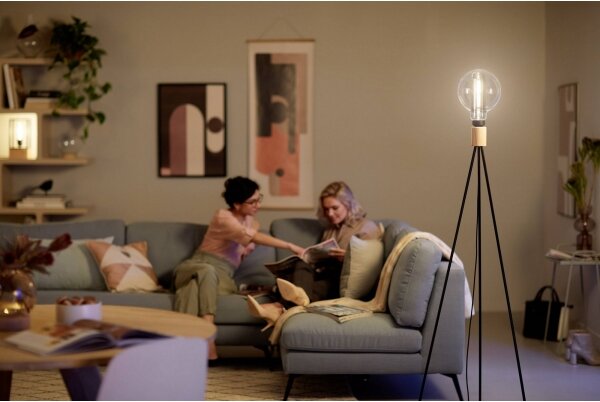 LED Stmievateľná žiarovka Philips E27/6,5W/230V 3000K