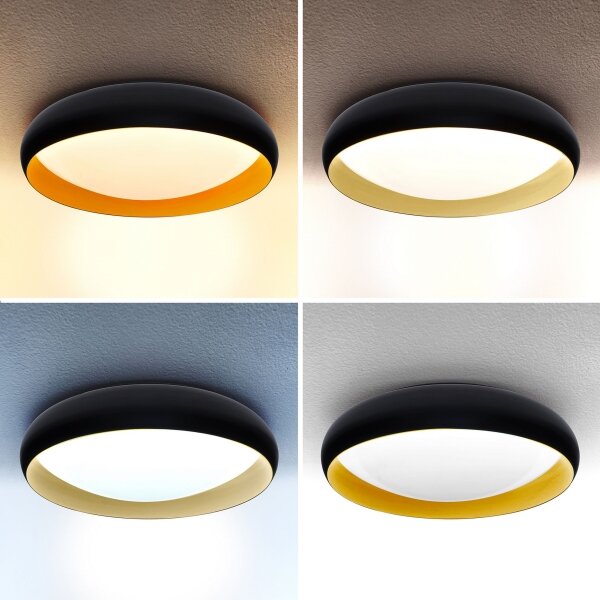 Brilagi - LED Stmievateľné stropné svietidlo LIVIA LED/48W/230V 3000-6500K + DO