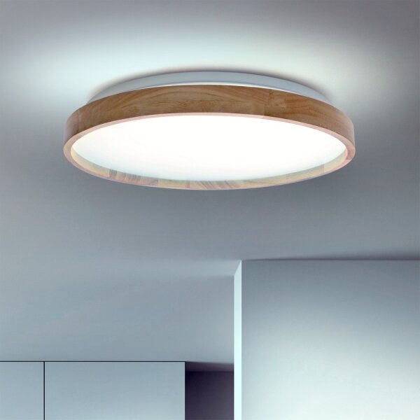 Brilagi - LED stlmiteľné stropné svietidlo ALSON LED/48W/230V 3000-6500K + DO