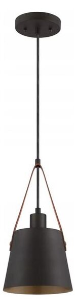 Westinghouse 6125340 - Závesný luster PASCO na lanku 1xE27/60W/230V