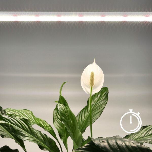 LED Podlinkové svietidlo na pestovanie rastlín GROWLY LED/15W/230W