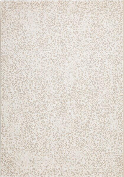 Osta , Kusový koberec Piazzo 12268 100, 80x140, biela, obývacia izba