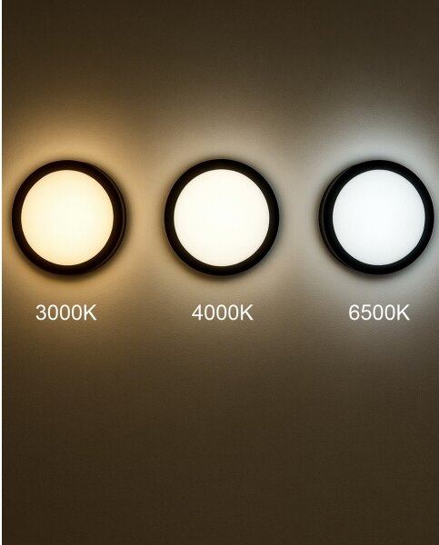 LED Kúpeľ. stropné svietidlo so senzorom ELLÉ LED/24W/230V pr. 26 cm IP54 antr