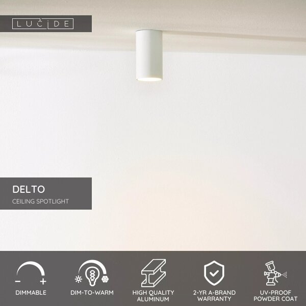 Lucide 09915/06/31 - LED Stmievateľné bodové svietidlo DELTO 1xGU10/5W/230V biela