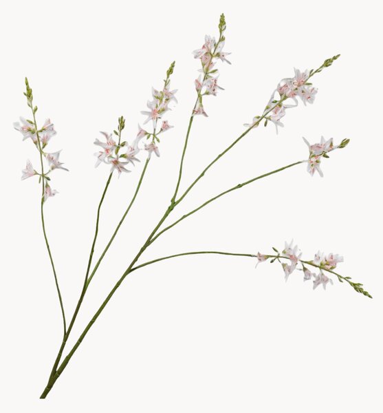 Rastlinné dekorácie Crocosmia, 2 ks