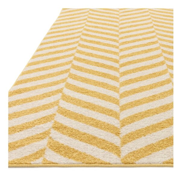 Žltý koberec 170x120 cm Muse - Asiatic Carpets