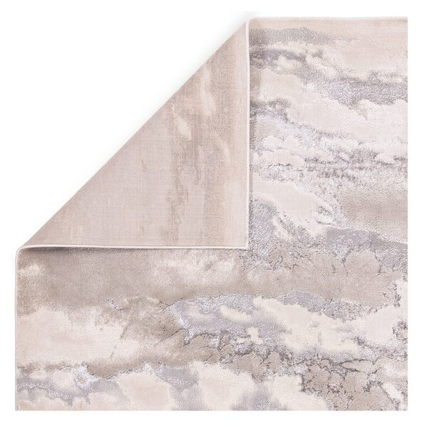 Sivý koberec 230x160 cm Aurora - Asiatic Carpets